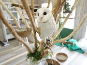 ふれあいどうぶつカフェ fuuの写真3