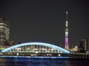 屋形船 濱進の写真4