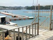 鳥の巣釣り場の写真2