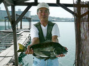 鳥の巣釣り場の写真3