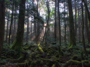 アウトバック・アドベンチャーツアーズの写真3