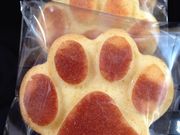 ねこのいるカフェ 小倉猫茶家の写真13