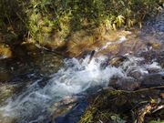 ウヨロ川の写真2