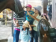 エンゼル乗馬クラブの写真2