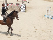 エンゼル乗馬クラブの写真4