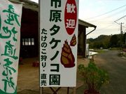 市原タケノコ園の写真2
