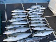 モンスターラッシュの写真3