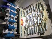 モンスターラッシュの写真4