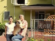 浮山温泉 犬の駅の写真3
