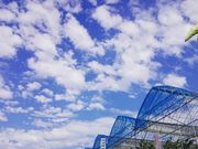 きよし∞のうえんの写真4