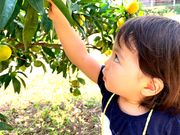 菊間園の写真2