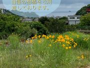 菊間園の写真4