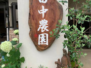田中農園の写真4