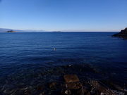 ダイビングスクール ステイドリームの写真3