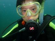 ダイビングスクール ステイドリームの写真2