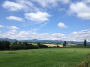 嵐山タクシーの写真4