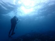 ダイビングスクール SEA-PLANETの写真2