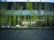 ザ・メイビア宮崎の写真2