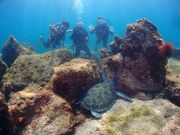 伊豆海ダイビングリゾートの写真3