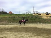 愛知牧場乗馬クラブの写真2