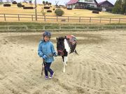 愛知牧場乗馬クラブの写真3