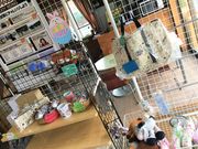 愛知牧場乗馬クラブの写真4