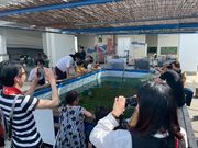 武庫川渡船バーベキュー広場/尼崎運河クルーズの写真3