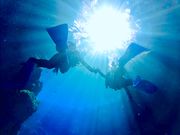 青の洞窟専門 沖縄ダイビングショップ和の写真3
