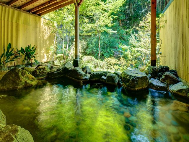 筑波山温泉「双神(ふたがみ)の湯」はアルカリ性単純温泉です。アルカリ度数はpH10.18となっております。_筑波山江戸屋