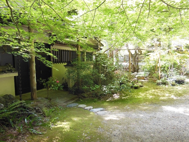 鷹峯の杜に佇む侘びた庵。_京都わび茶会