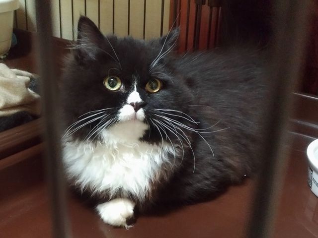 ハンナ_くーちゃんの家