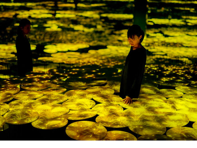 地形の記憶_MORI Building DIGITAL ART MUSEUM:EPSON teamLab Borderless