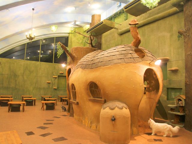 夜まで営業していますので、お仕事終わりでもご利用いただけます_猫カフェ『てまりのおうち』
