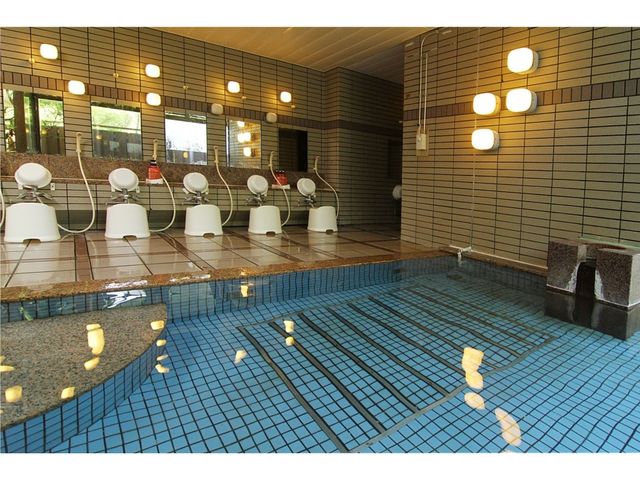 別館 渓泉荘温泉 女湯_いいざか 日帰り温泉 伊勢屋