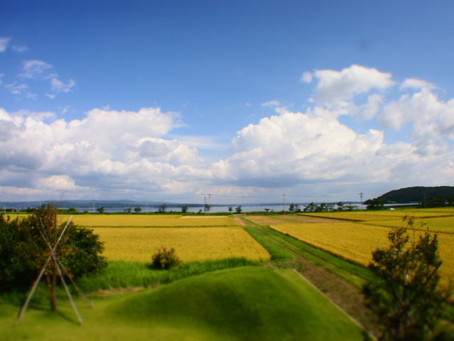 革仕事のお店 tasola