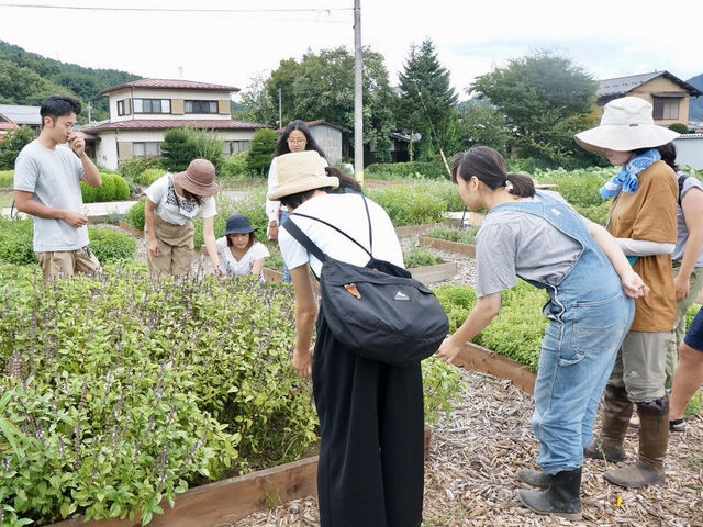 ハーブの種類、使い方についても説明します!_MY HERBS