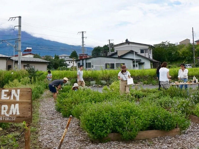天気が良ければ、富士山も見えます!_MY HERBS