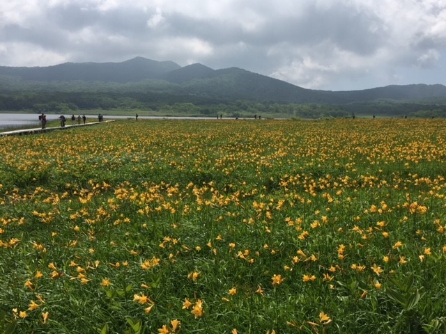 裏磐梯エコガイドの会
