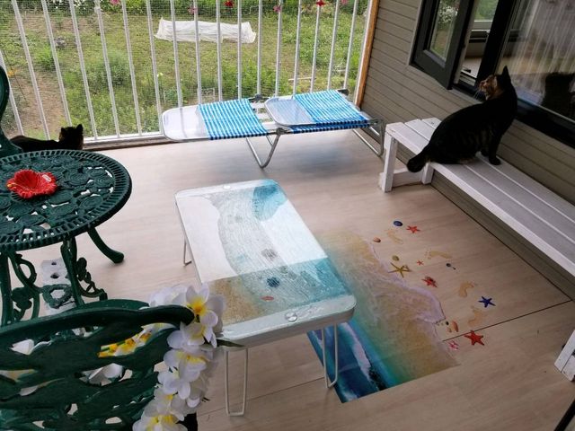 猫カフェ Meow Land