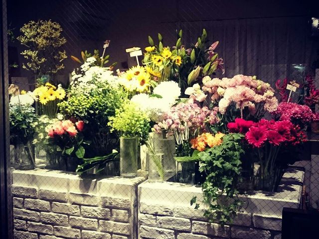 Barley's Flower(バーリーズ フラワー)