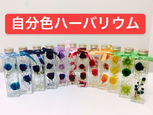 サロンZephyr flower