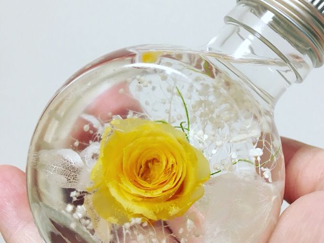 サロンZephyr flower