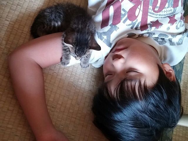 若旦那ダイゴと一緒に育っているので子供慣れしてます。_保護猫カフェ 別邸ねこ処みなみ家