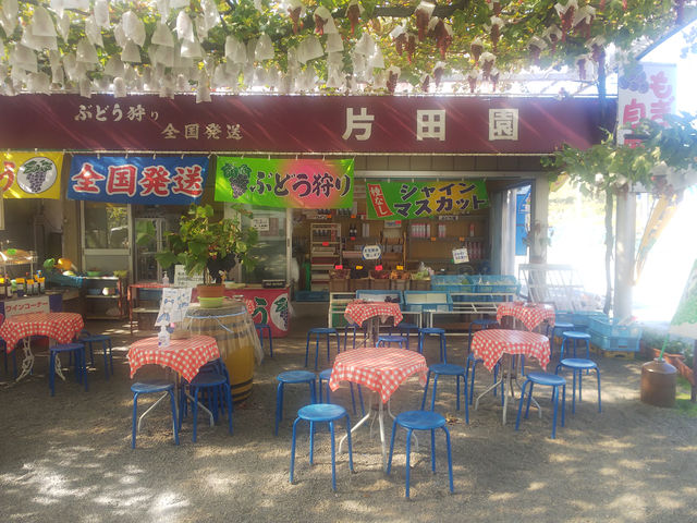 片田園