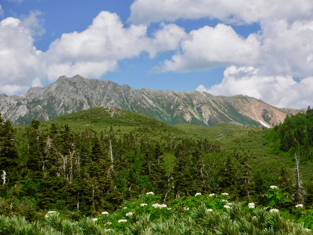 北アルプスや白山連峰を中心にトレッキングガイドも行っています。_BC Caravan