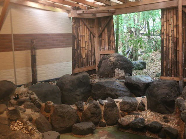 新富士オートキャンプ場