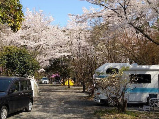 新富士オートキャンプ場