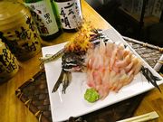 ふきのとう 山形の写真1