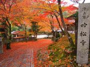 京都わび茶会の写真3