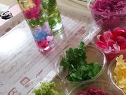 ラナの部屋の写真2